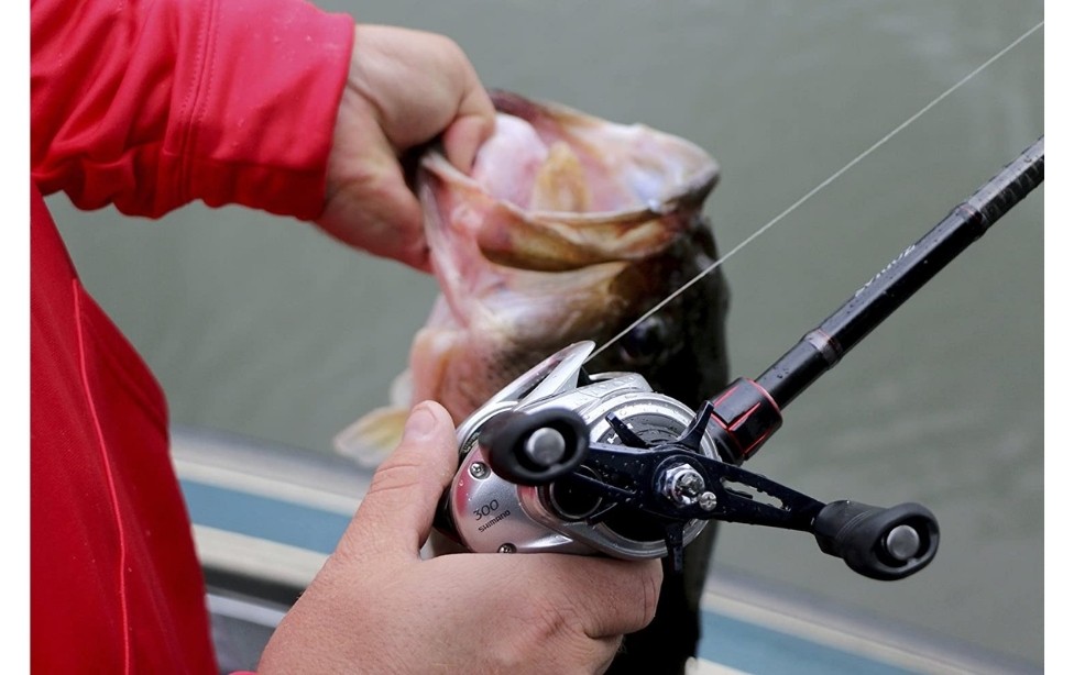 Best Baitcasting Reel