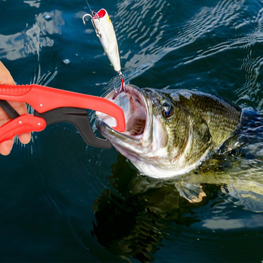 Best Fish Lip Gripper