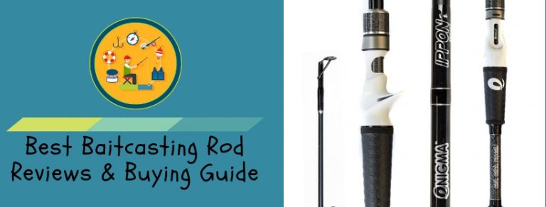 Best Baitcasting Rods