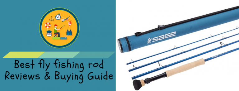 best fly fishing rods for beginners