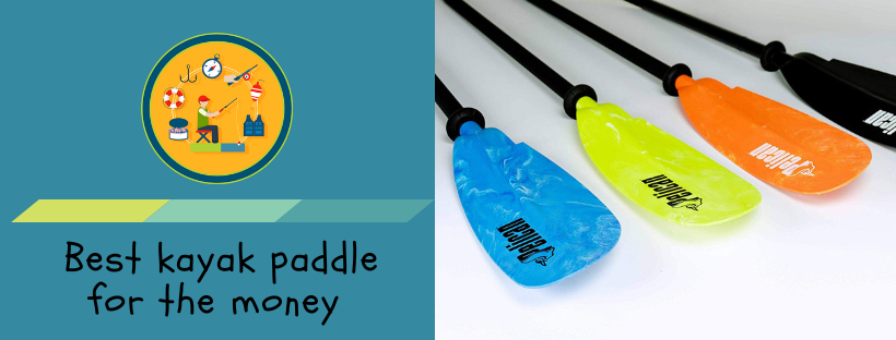 Best Kayak Paddle For The Money