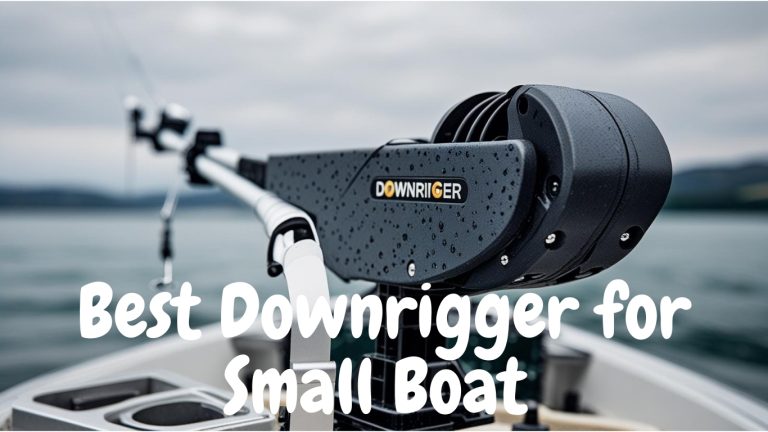 Best Downrigger for Small Boat