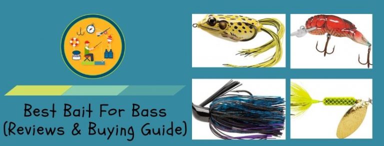 Best Bait For Bass