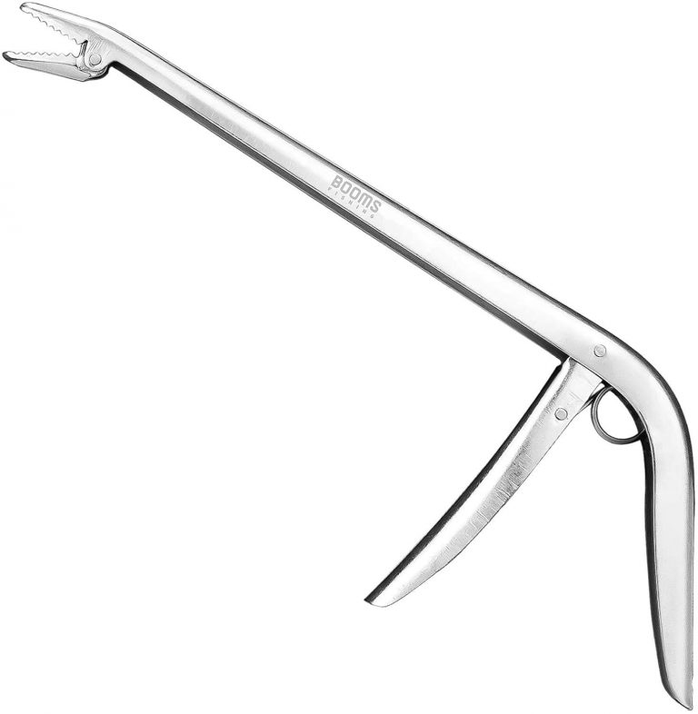 The 5 Best Fish Hook Removers For Safe And Easy Release Fishing Tool Reviewer
