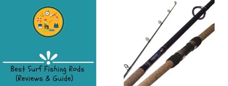 Best Surf Fishing Rods