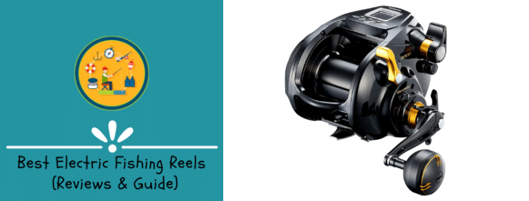 Best Electric Fishing Reels