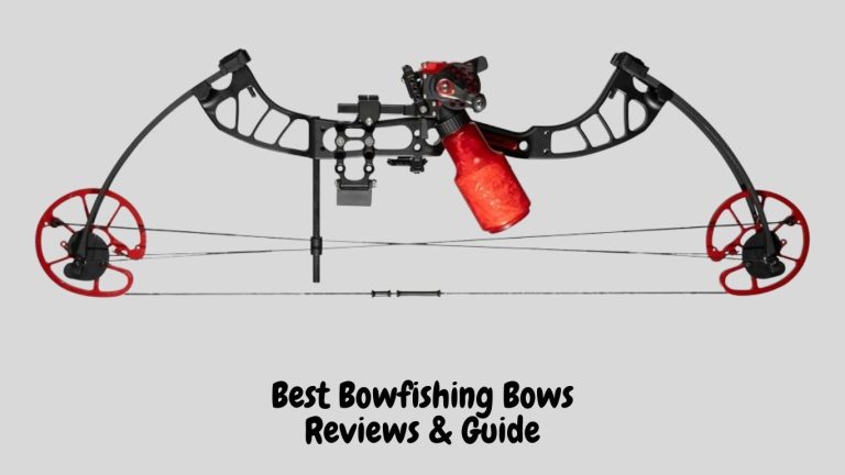 Best Bowfishing bow (Reviews & Guide)
