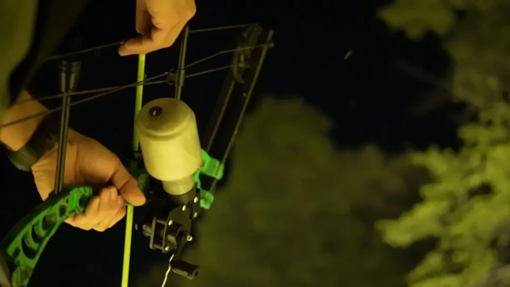 Best Bowfishing Arrows